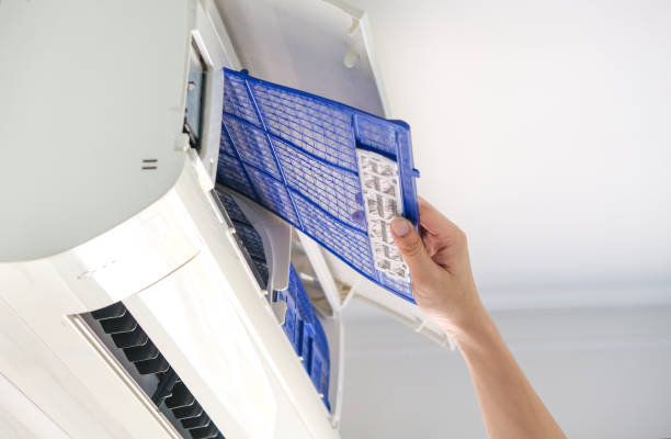 Best Affordable HVAC Duct Cleaning  in Anoka, MN
